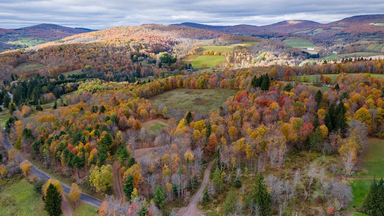 Photo of Outdoor in Bovina Center