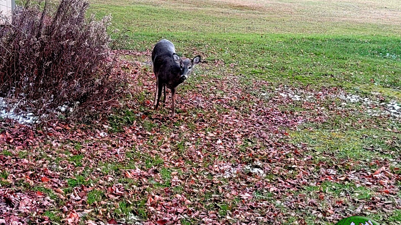 Photo of Outdoor in Laporte
