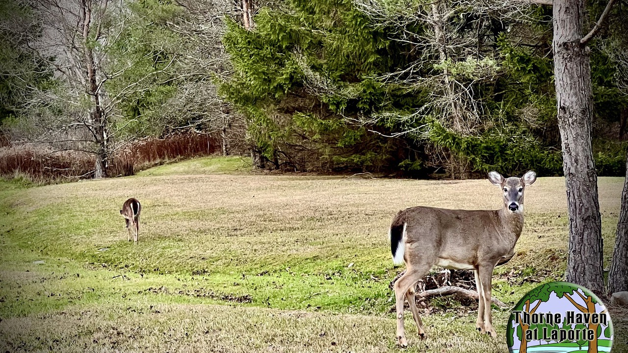 Photo of Outdoor in Laporte