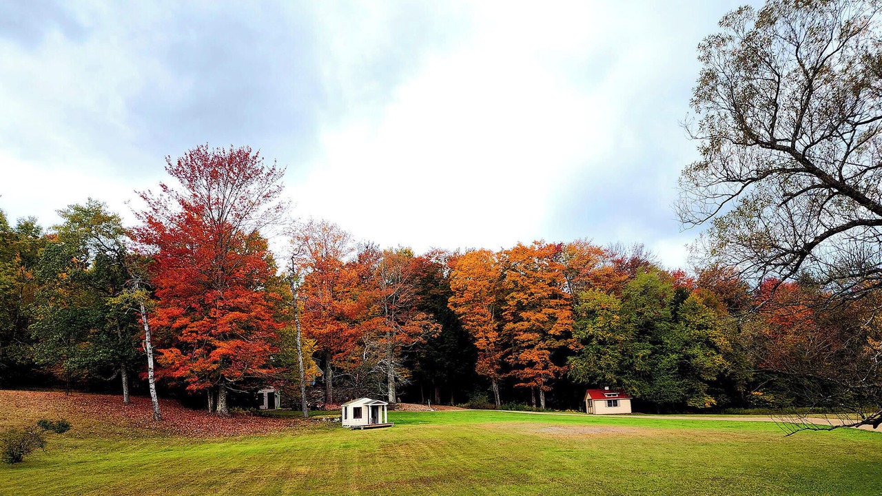 Photo of Outdoor in Laporte