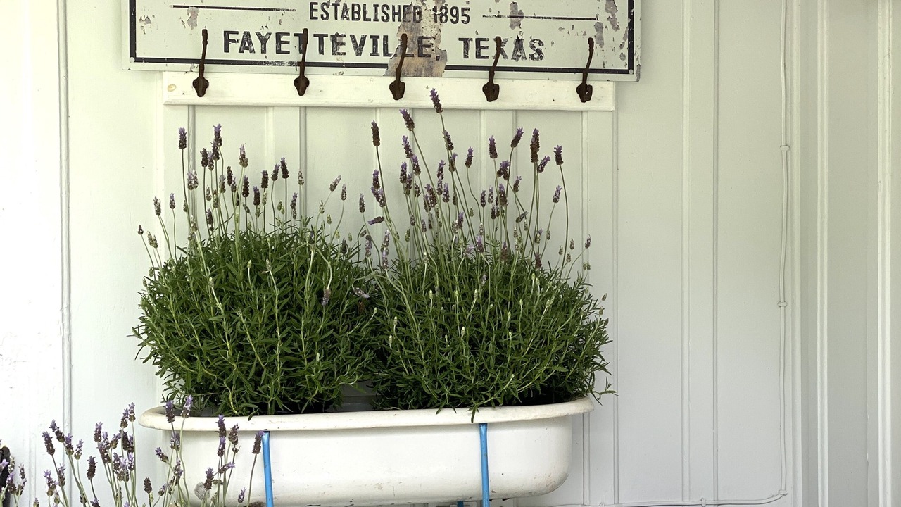 Photo of Outdoor in Fayetteville