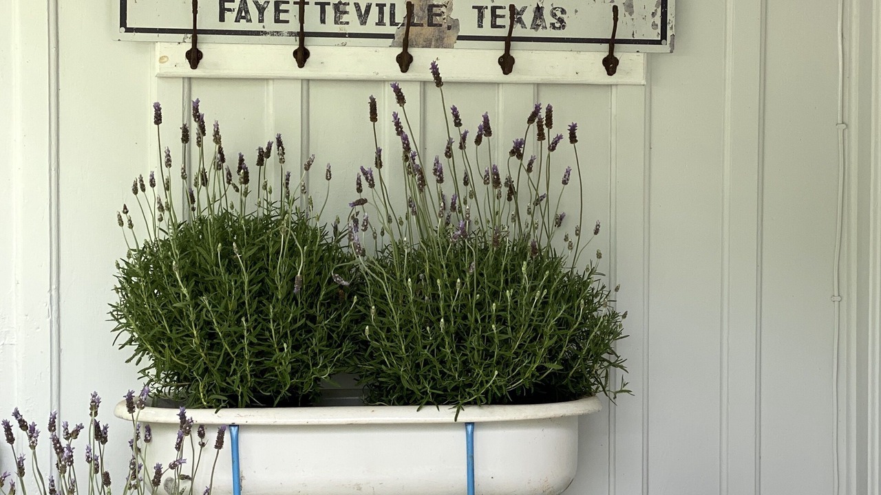 Photo of Outdoor in Fayetteville
