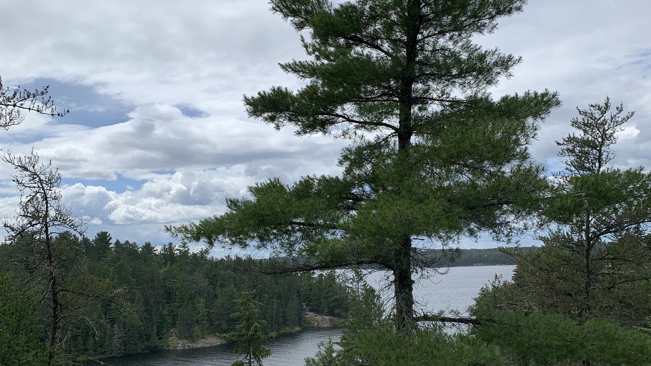Photo of Others in Kenora