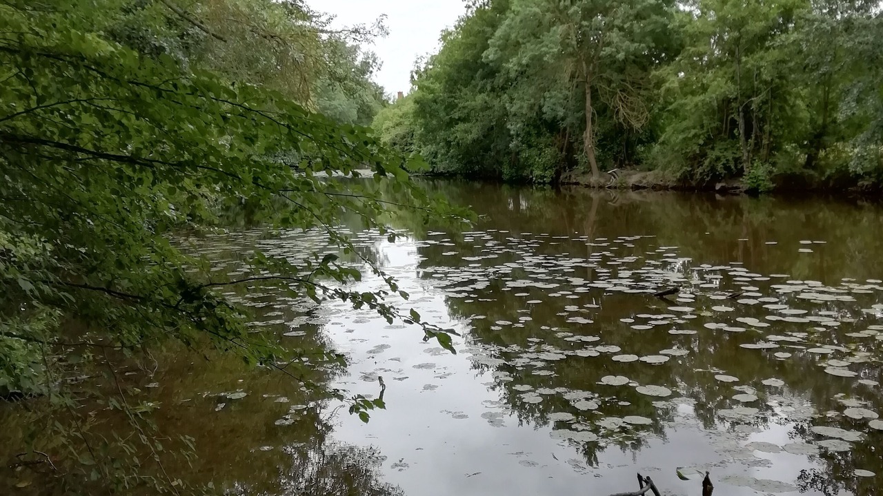 Photo of Others in Joue-sur-Erdre