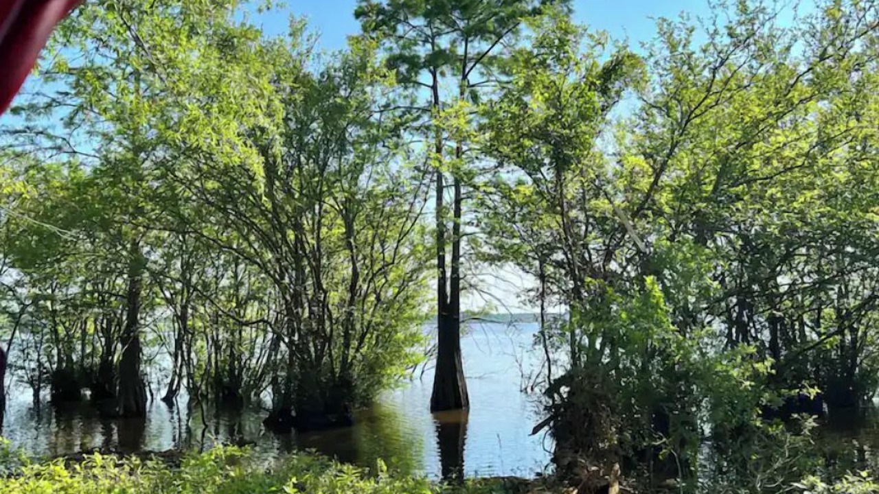Photo of Outdoor in Etoile