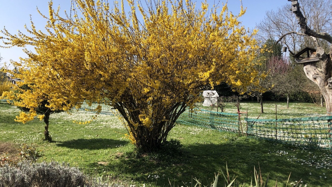 Photo of Outdoor in Lusigny-sur-Barse