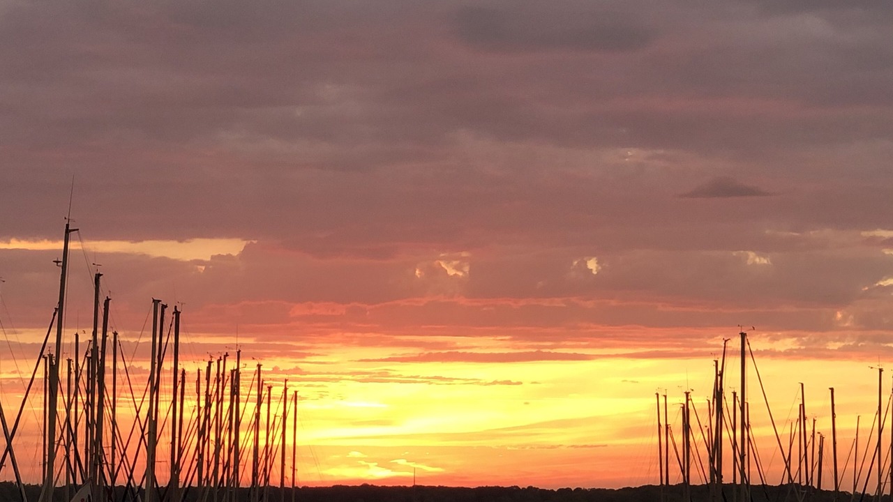 Photo of Others in Lusigny-sur-Barse