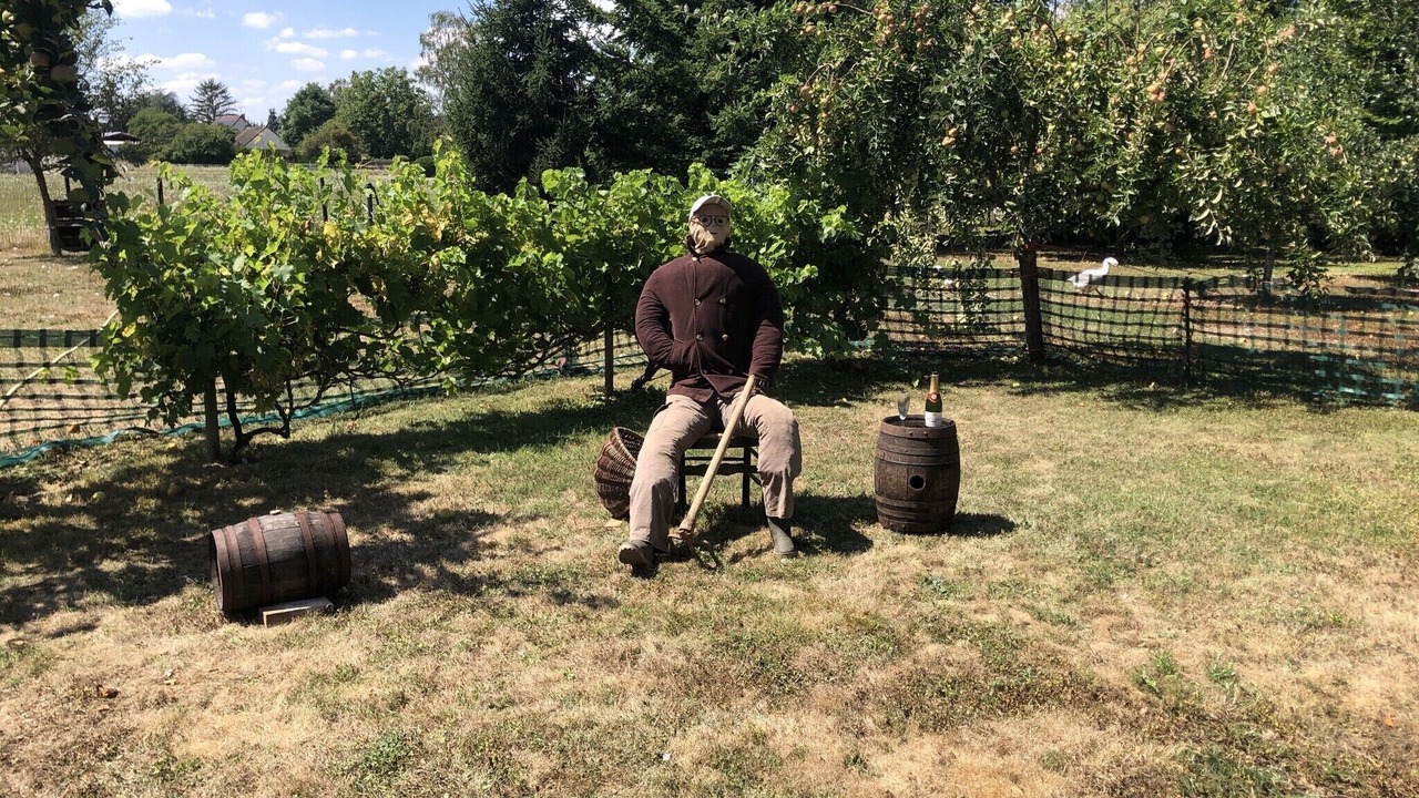 Photo of Others in Lusigny-sur-Barse