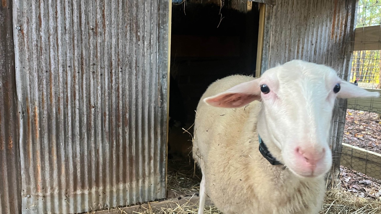 Photo of Others in Chatsworth