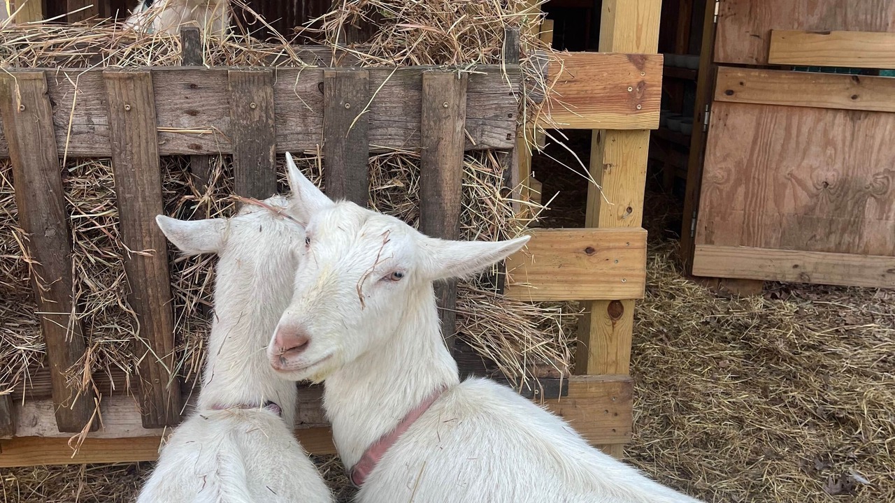 Photo of Others in Chatsworth