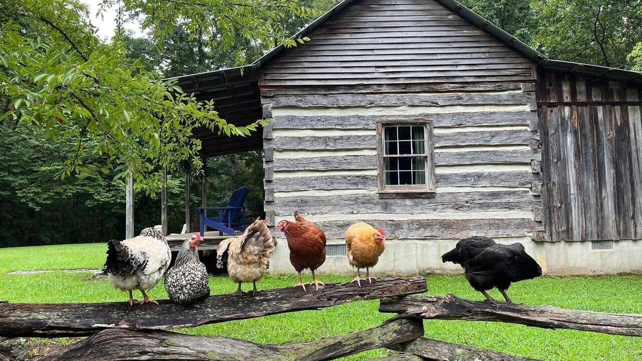 Photo of Outdoor in Chatsworth