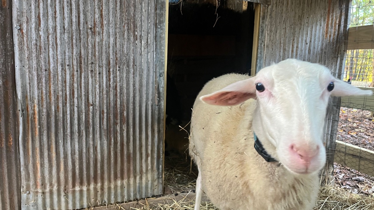 Photo of Others in Chatsworth