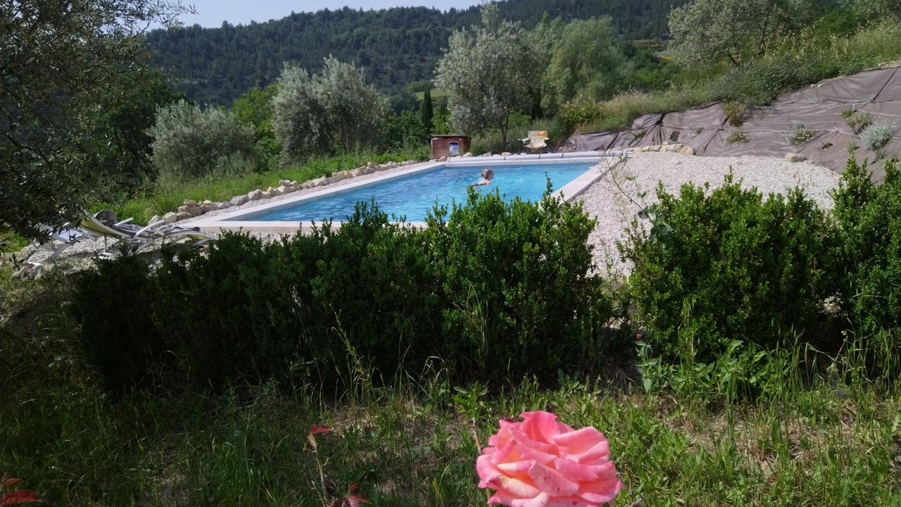 Photo of Outdoor in Arpavon