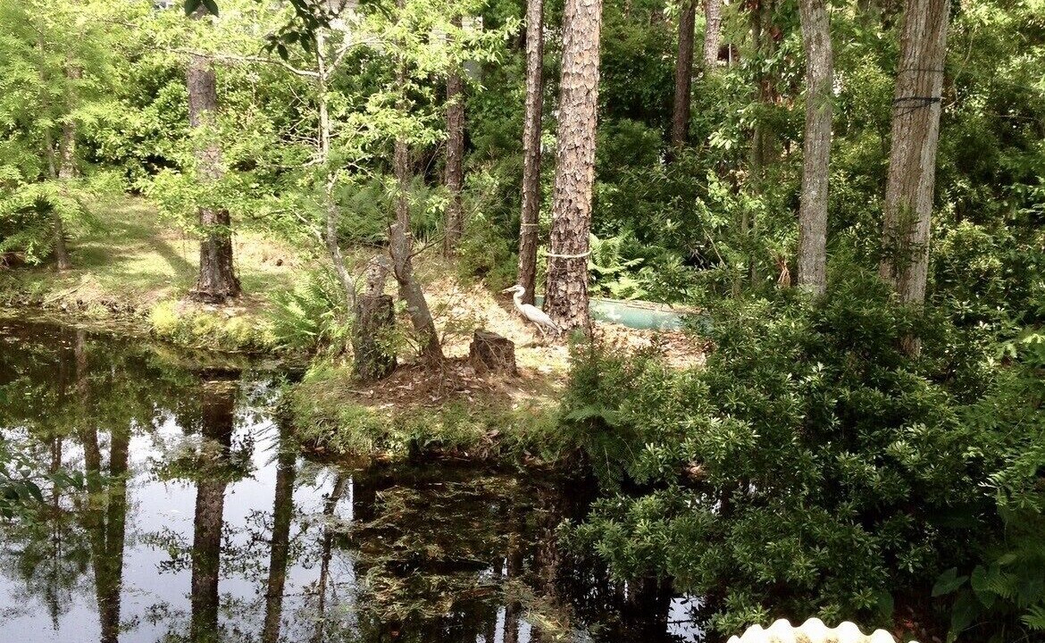 Photo of Others in Gulf Breeze
