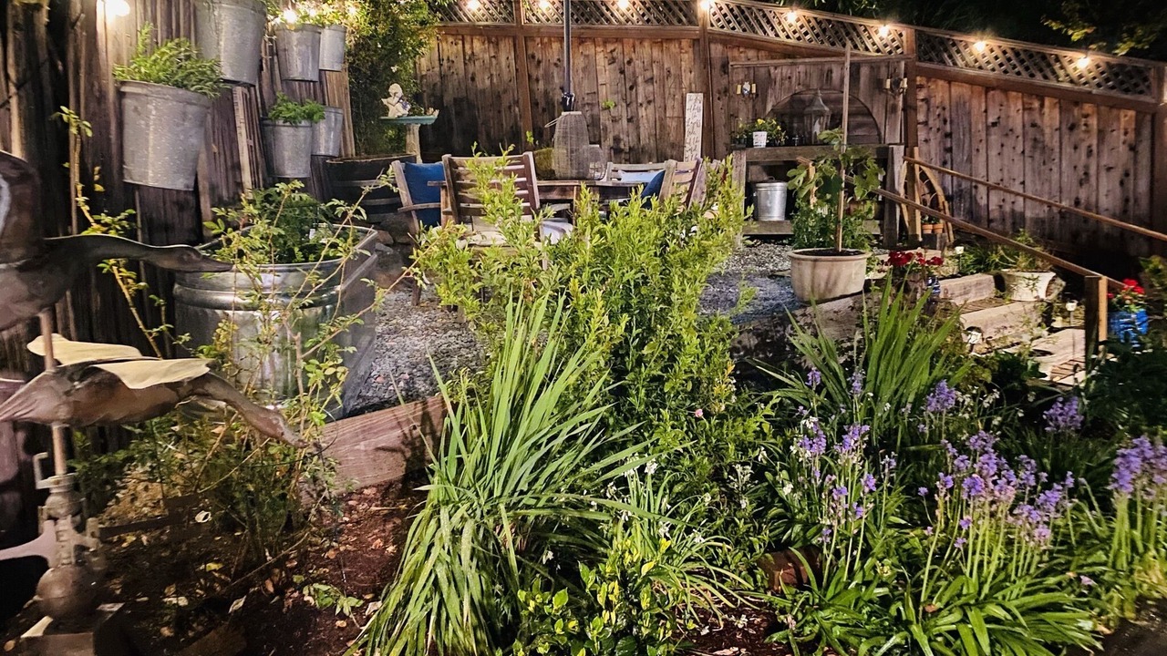 Photo of Outdoor in San Anselmo