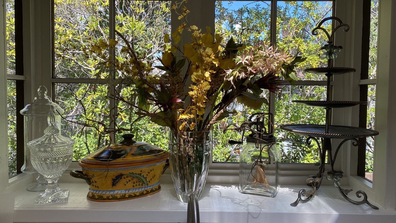 Photo of Others in San Anselmo
