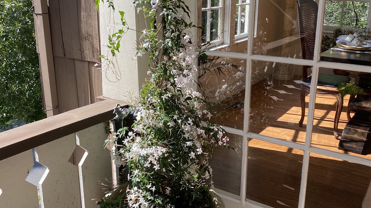 Photo of Outdoor in San Anselmo