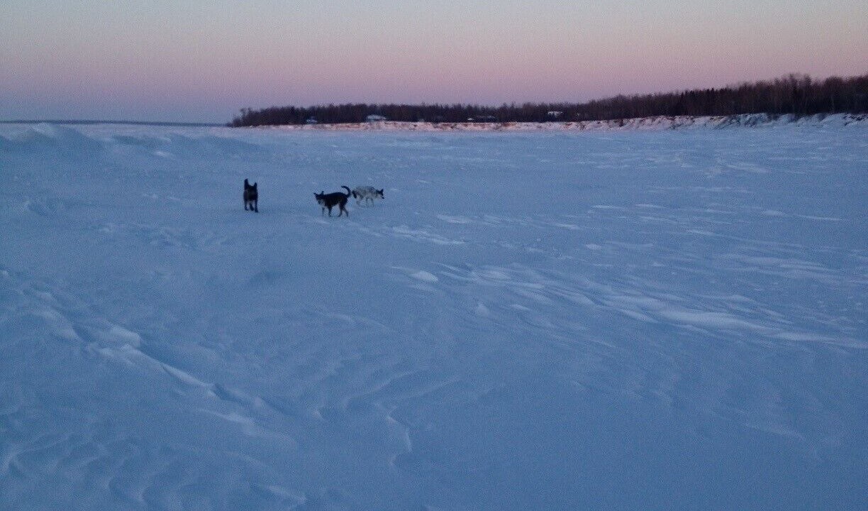 Photo of Others in Hillside Beach
