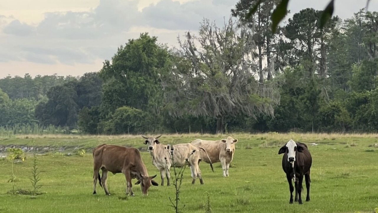 Photo of Others in Clermont