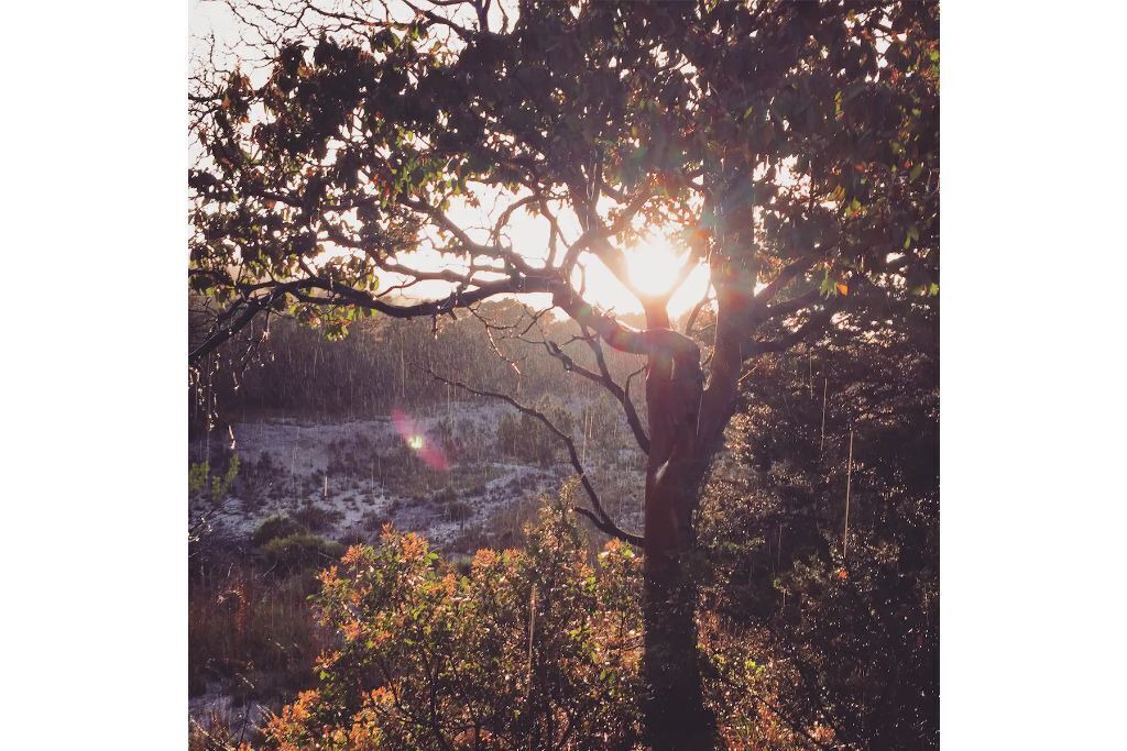 Photo of Others in Dripping Springs