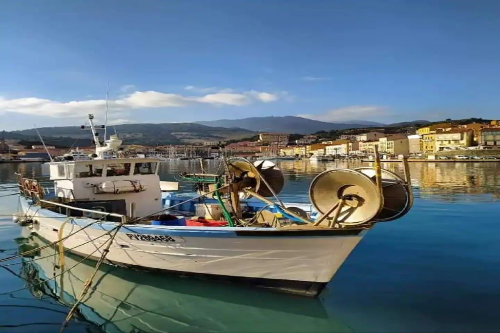 Photo of Others in Port-Vendres