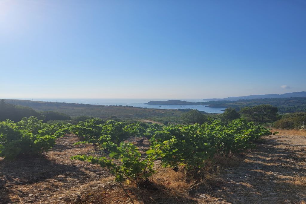 Photo of Outdoor in Port-Vendres