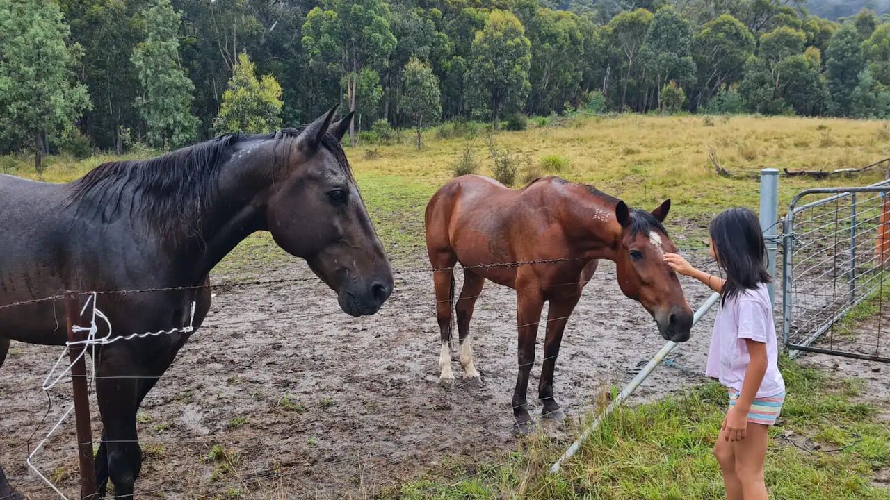Photo of Others in Hartley