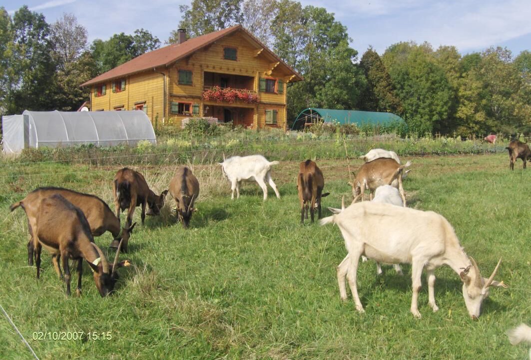 Photo of Outdoor in Les Planches-en-Montagne