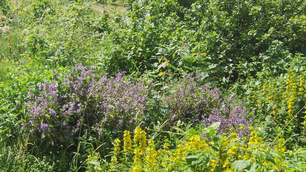 Photo of Outdoor in Les Planches-en-Montagne