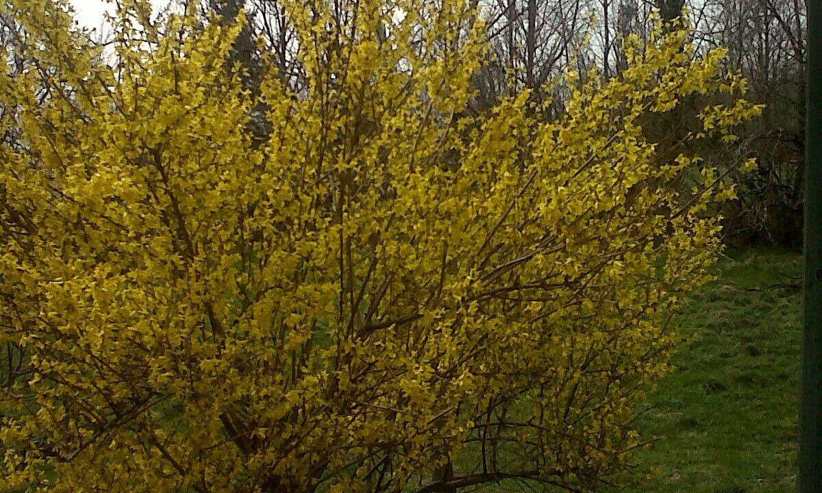 Photo of Outdoor in Les Planches-en-Montagne