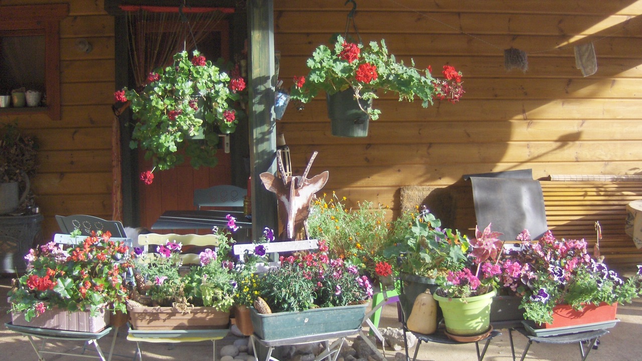 Photo of Outdoor in Les Planches-en-Montagne