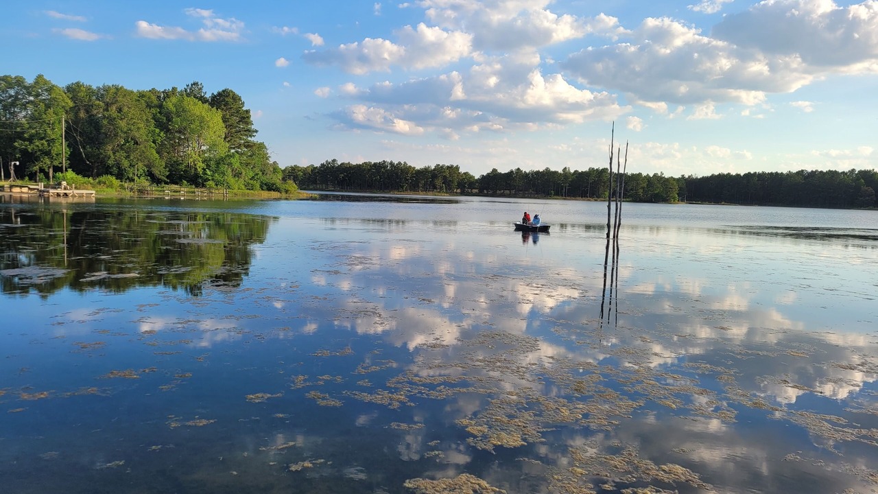 Photo of Outdoor in Huntsville