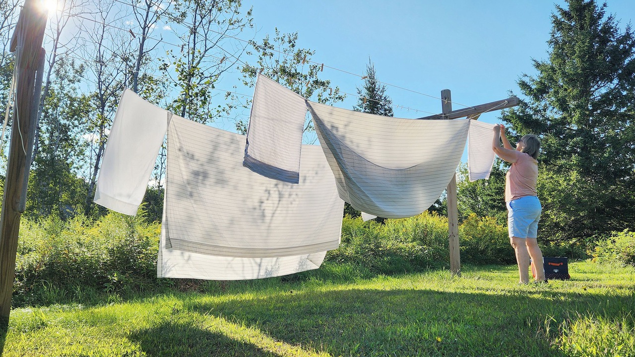 Photo of Others in Lamoine