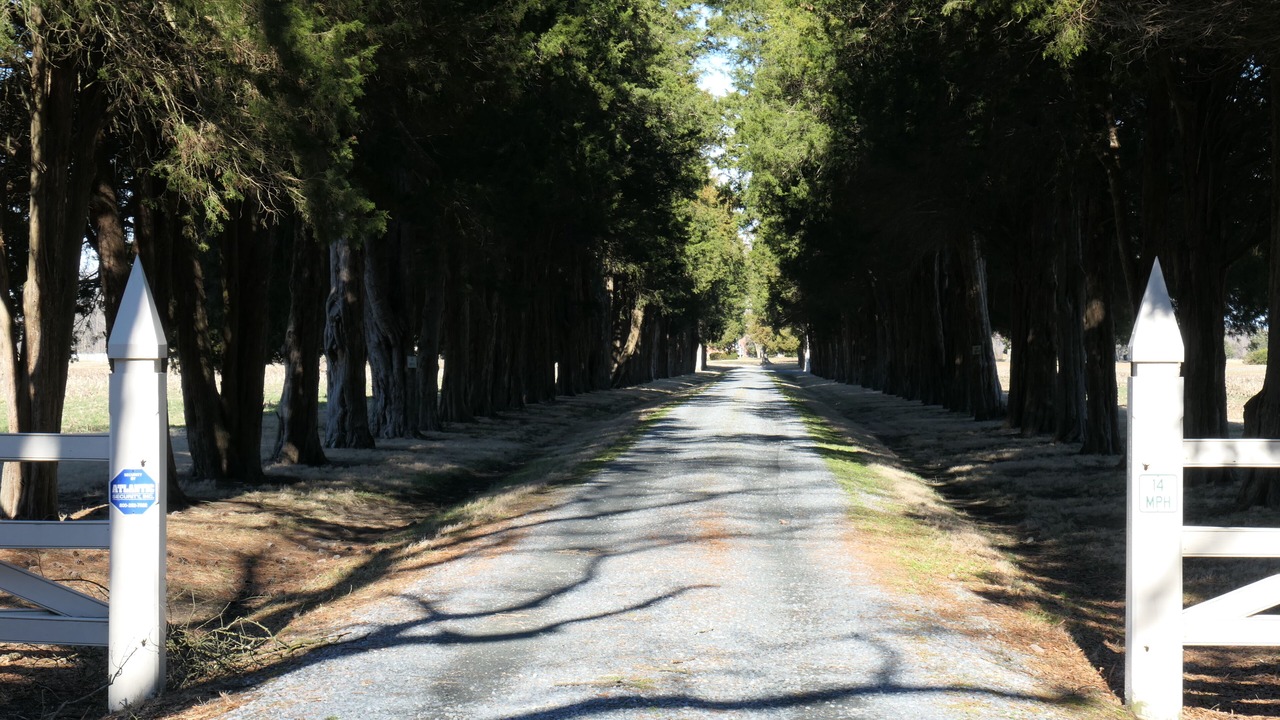 Photo of Outdoor in Chestertown