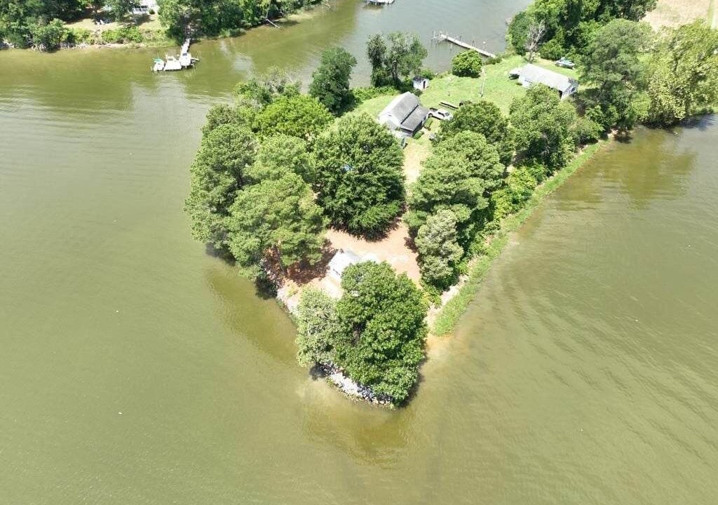 Photo of Others in Hague