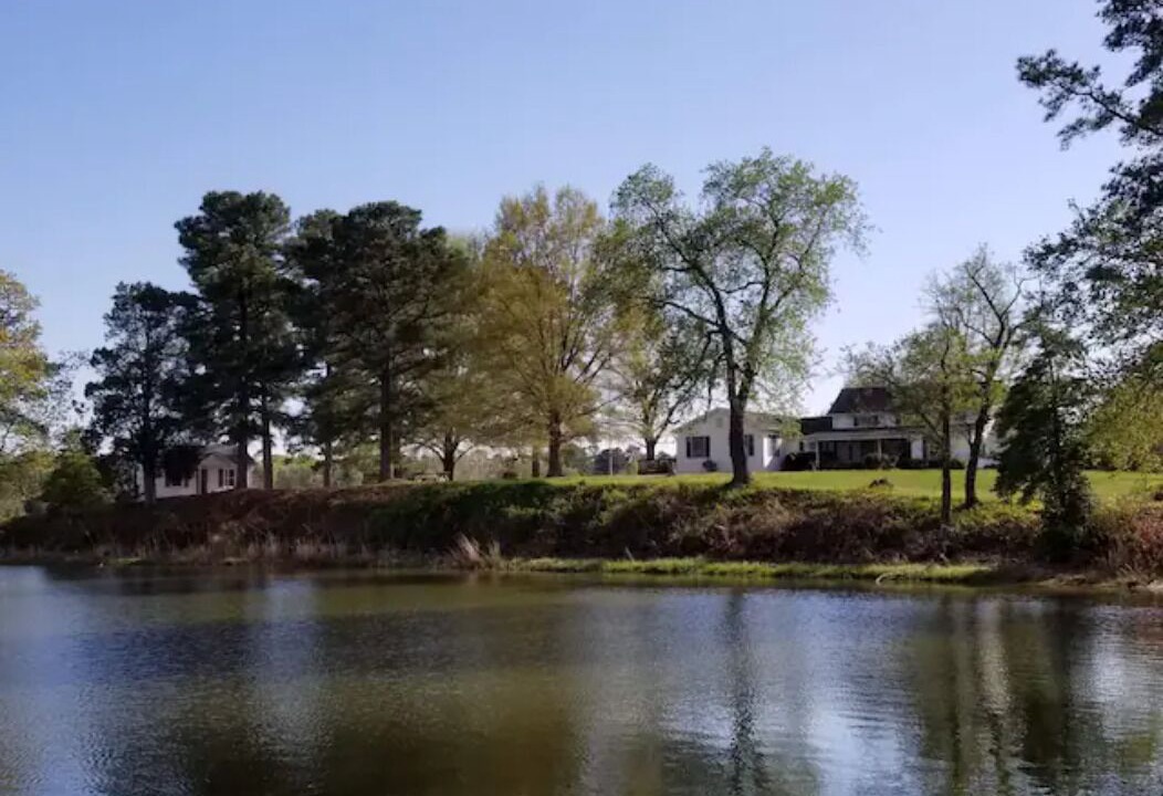 Photo of Others in Hague