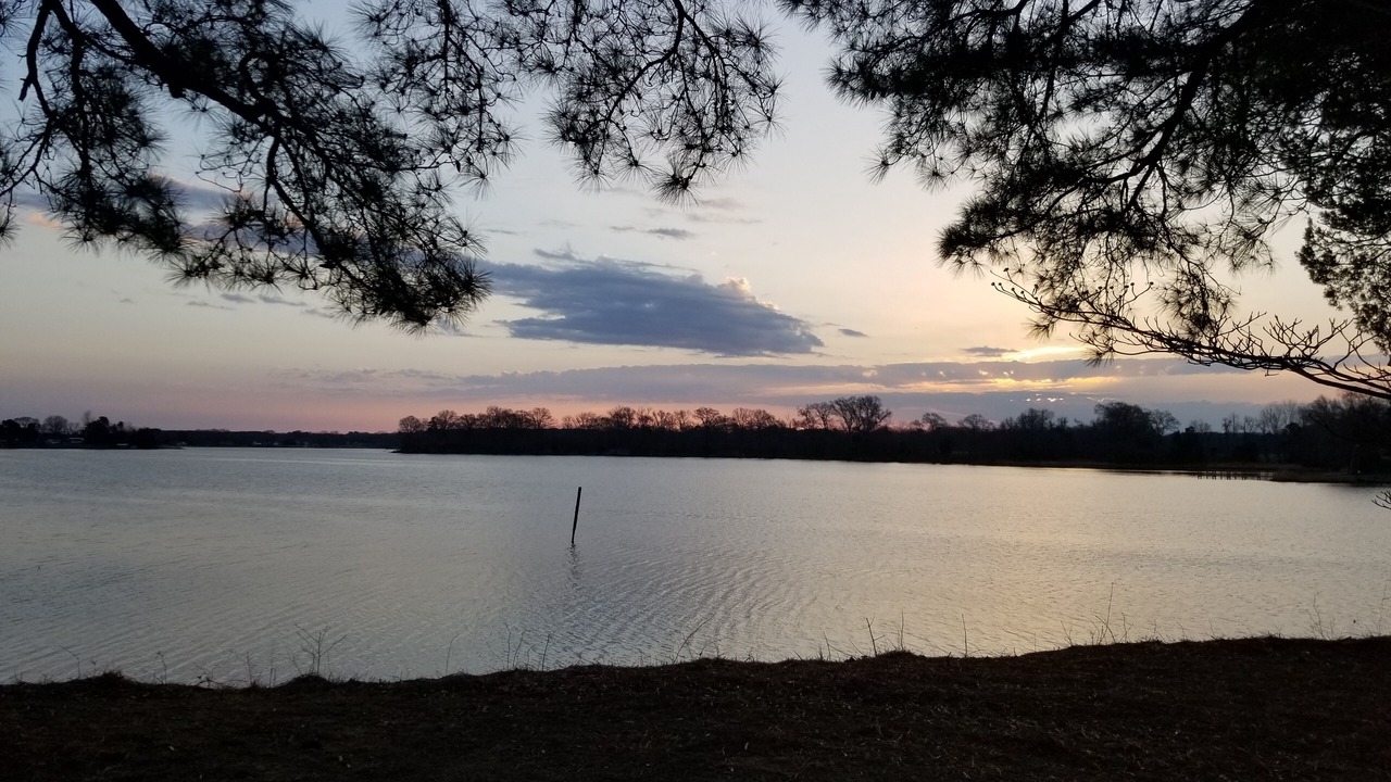 Photo of Others in Hague