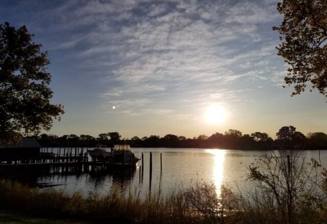 Photo of Others in Hague