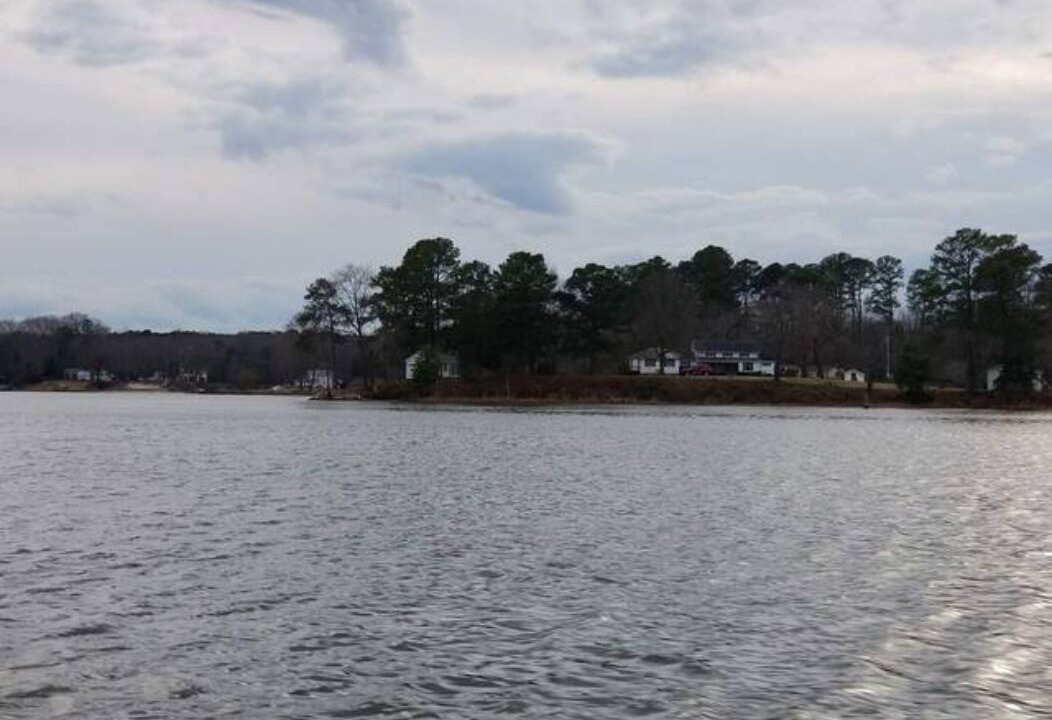 Photo of Others in Hague