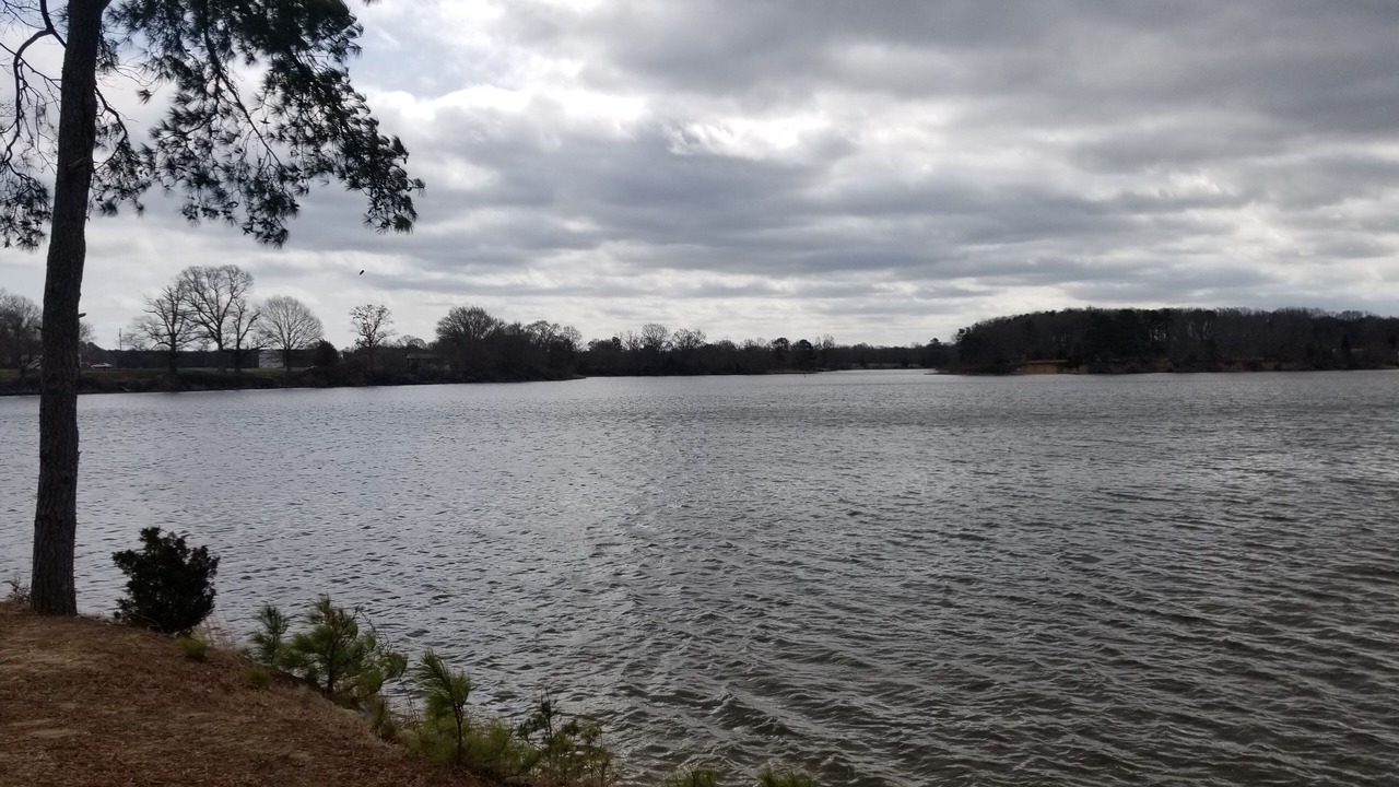 Photo of Others in Hague