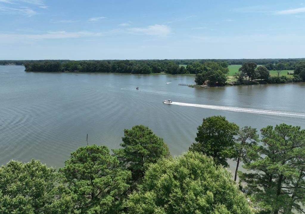 Photo of Others in Hague