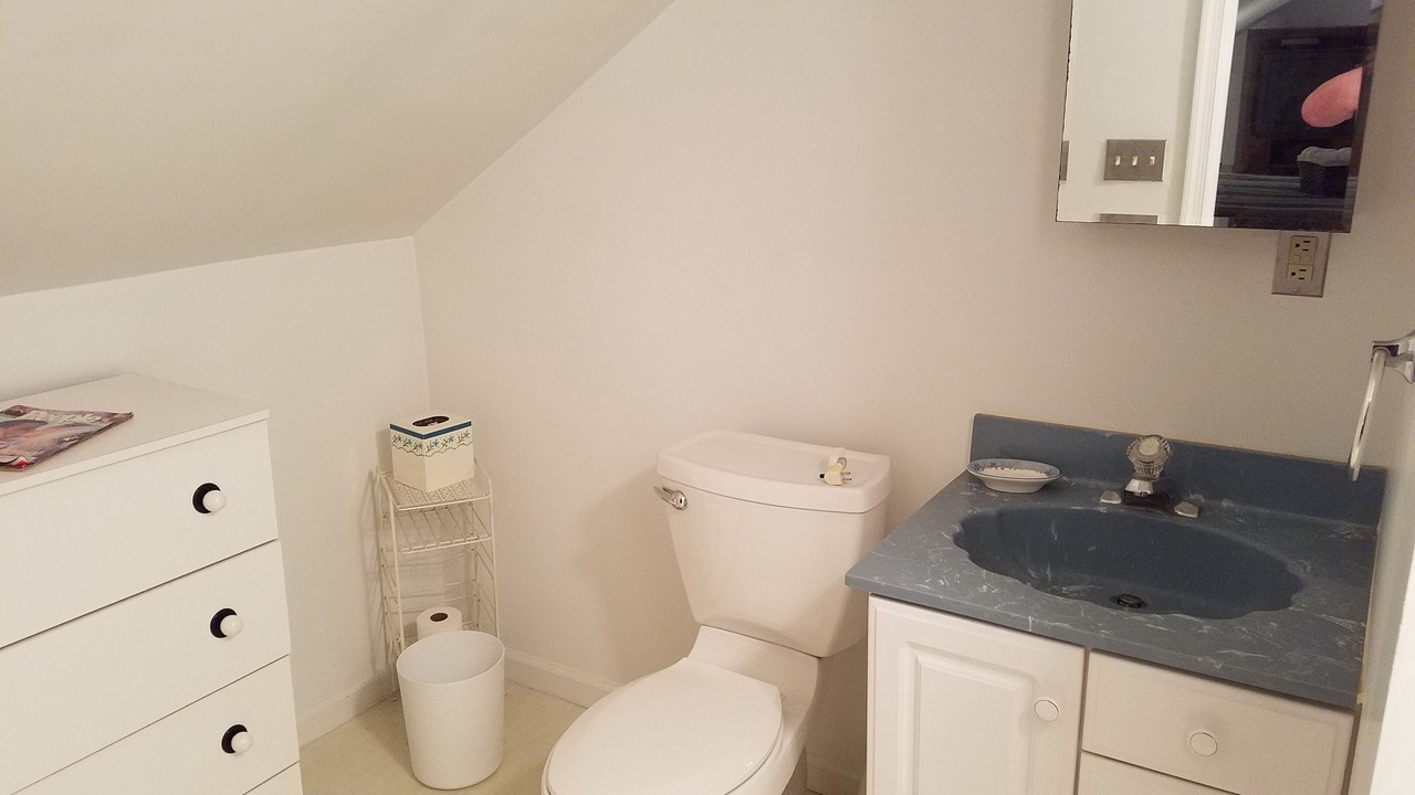 Photo of Bathroom in Hague