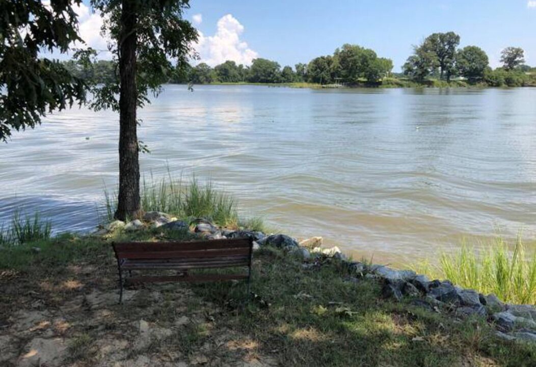 Photo of Others in Hague