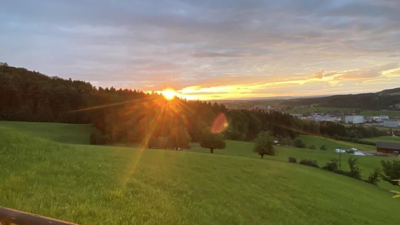 Photo of Others in Herisau