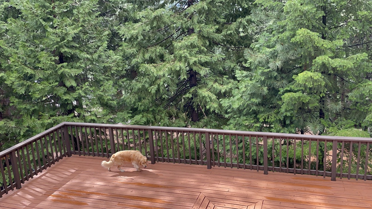 Photo of Others in Placerville