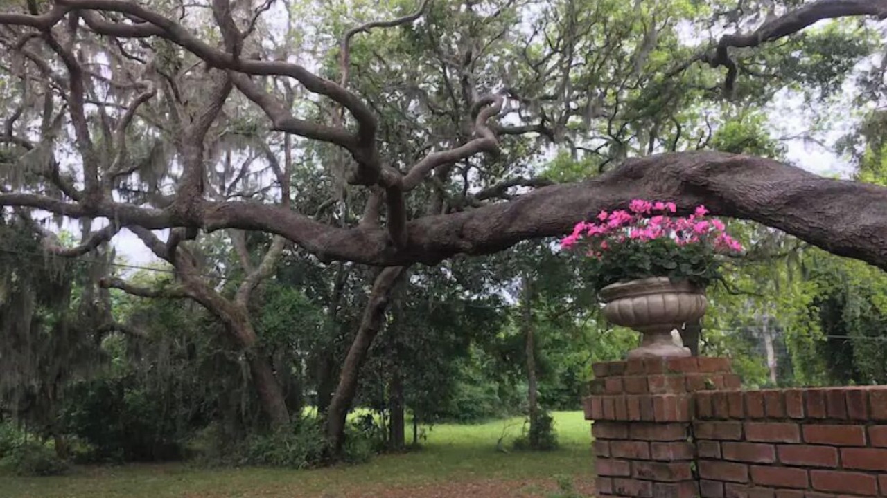 Photo of Outdoor in Green Cove Springs