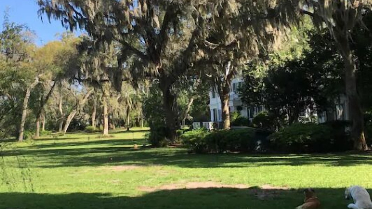 Photo of Outdoor in Green Cove Springs