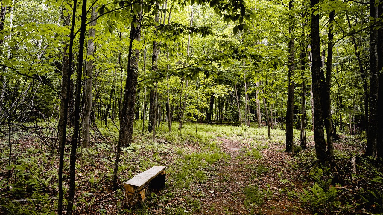 Photo of Others in Mansonville