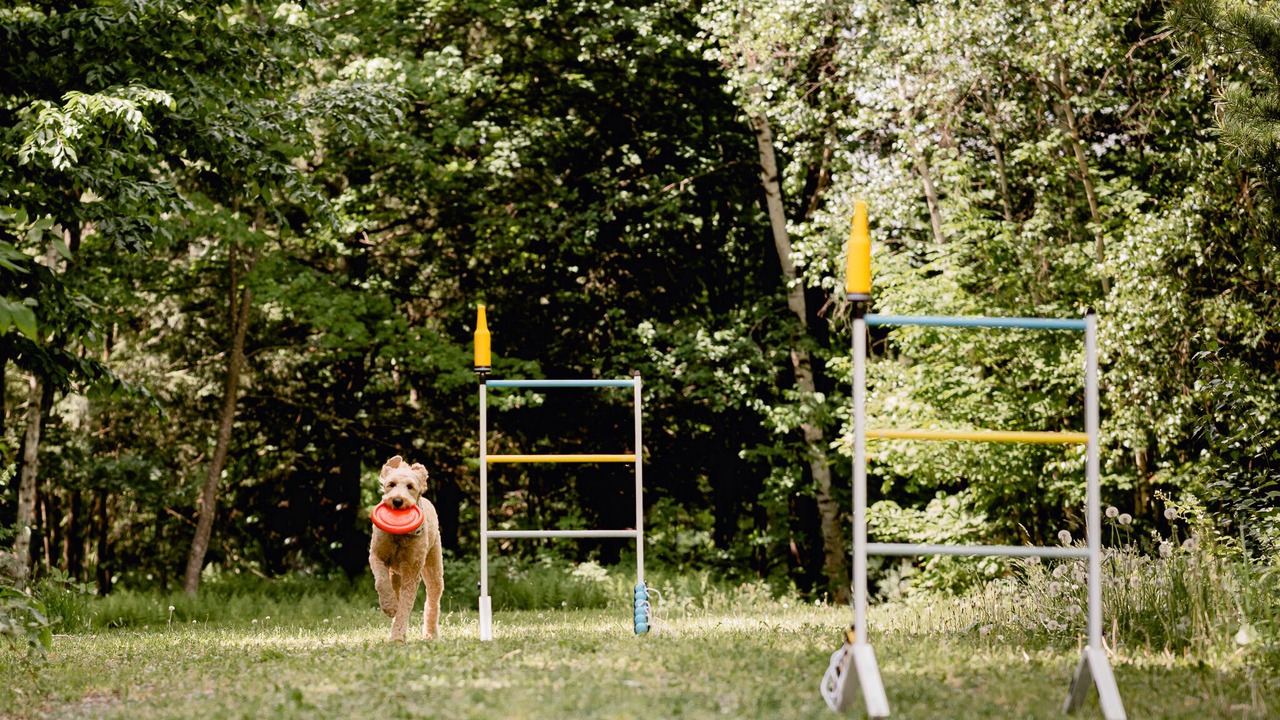 Photo of Outdoor in Mansonville