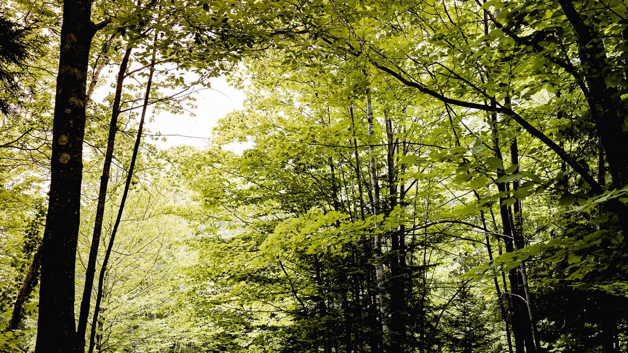 Photo of Outdoor in Mansonville
